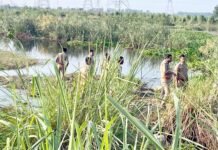 खादर में झाडिय़ों के बीच जल रही कच्ची शराब की भट्टी को आबकारी विभाग ने किया ध्वस्त
