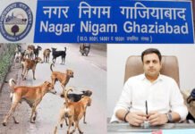 कुत्तों के आतंक से निपटने के लिए एक्शन में गाजियाबाद नगर निगम 53 हाई रिस्क जोन चिन्हित बनेगा एक और एबीसी सेंटर म्युनिसिपल कमिश्नर विक्रमादित्य मलिक स्वयं कर रहे मॉनिटरिंग