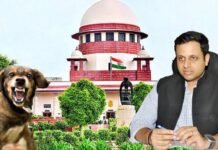सुप्रीम कोर्ट पहुंचा गाजियाबाद में कुत्तों के खूनी आंतक का मामला नगर निगम ने उठाया बड़ा कदम म्युनिसिपल कमिश्नर विक्रमादित्य सिंह मलिक ने दी जानकारी