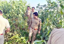 आबकारी विभाग ने बिगाड़ा खादर के जंगलों में चल रहे अवैध शराब का खेल
