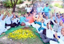 अजन्मी कन्याओं की आत्मा शांति के लिए हिंडन तट पर महायज्ञ में दी गई 11 हजार की आहूति