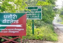 यमुना सिटी में रहने वालों सांसें दुरुस्त रहेंगी CEO डॉ. अरुणवीर सिंह ने धनौरी वेटलैंड का सुपर बफर एरिया तय किया