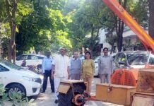 पार्षद ने शुरु कराया पेड़ों की छटाई का कार्य