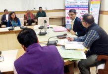 हिंडन नदी के किनारे खाली पड़ी भूमि पर वृक्षारोपण कराएं वन विभाग: जिलाधिकारी
