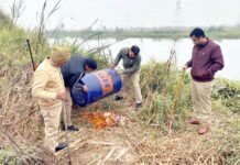 हिंडन खादर क्षेत्र में जल रही कच्ची शराब की भट्टी को आबकारी विभाग ने किया ध्वस्त