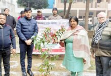 स्वच्छ तीर्थ अभियान की महापौर ने पौधारोपण से की शुरुआत
