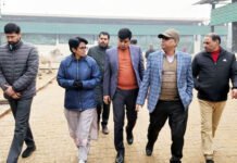 नोडल अधिकारी ने किया गौ आश्रय स्थलों का निरीक्षण
