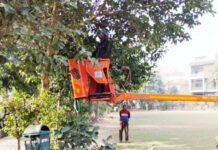 ट्री प्रूनिंग मशीनों से पेड़ों की छंटाई जारी