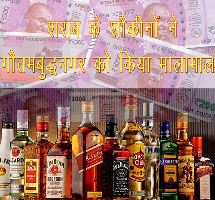 wine-noida