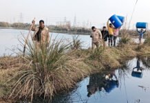 हिंडन खादर क्षेत्र में झाडिय़ों के बीच बना रहें थे कच्ची, आबकारी विभाग की टीम ने बोला धावा
