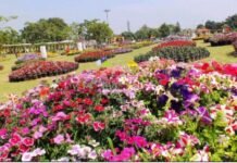 एक बार फिर फूलों की खुषबू से महकेगा ग्रेटर नोएडा का सिटी पार्क