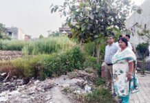 महापौर ने अधिकारियों संग किया 5 तालाबोंं का निरीक्षण