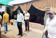 बरसात से पहले नालों की सफाई, अवैध चल रही डेरियों पर निगम ने कसा शिकंजा