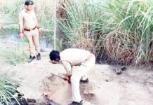 शराब माफिया के गढ़ हिंडन खादर में आबकारी विभाग ने शराब की भट्टी को किया नष्ट
