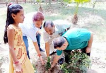 पूर्व पार्षद ने मुख्यमंत्री के जन्मदिन व पर्यावरण दिवस पर लगाए 50 पौधे
