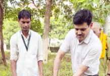 पर्यावरण दिवस पर जीडीए अधिकारियों ने रोपित किए पौधे