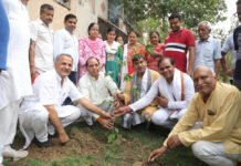 एक पेड़ मां के नाम अभियान का क्षेत्रीय अध्यक्ष ने किया शुभारंभ
