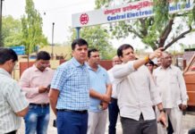 सफाई के साथ शहर की ग्रीनरी पर दें ध्यान अधिकारी: विक्रमादित्य सिंह मलिक