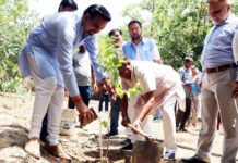 नमो गंगे ट्रस्ट और नगर निगम ने मोहन नगर में किया वृक्षारोपण