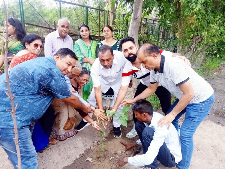 एक पेड़ मां के नाम अभियान, पूर्व पार्षद डॉ मनोज गोयल ने पौधे लगाकर दिया पर्यारवरण संरक्षण