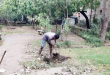 जल संरक्षण के लिए रेन वाटर हार्वेस्टिंग की साफ-सफाई का कार्य हुआ शुरू