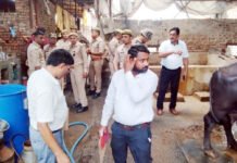 अवैध डेयरी संचालकों पर नगर निगम हुआ सख्त