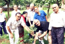 कौशांबी में सार्थक हो रहा एक पेड़ मां के नाम कार्यक्रम