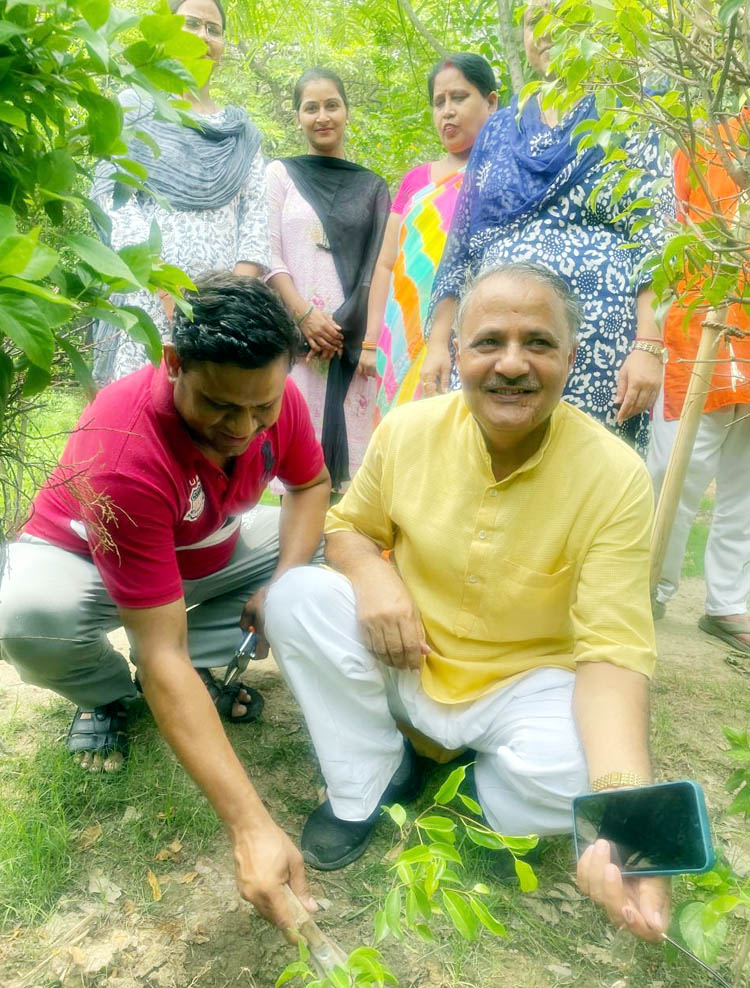 एक पेड़ मां के नाम: हर व्यक्ति एक-एक पौधा लगाने का ले संकल्प: मानसिंह गोस्वामी