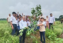 पर्यावरणविद् नवनीत पांडे की बड़ी पहल, कृषि फार्म हाउस में एक हजार पौधे लगाए