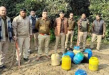 महुआ अवैध शराब के धंधे का आबकारी विभाग की टीम ने किया पर्दाफाश