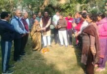 वैशाली सेक्टर एक पार्क में घास लगाने का कार्य शुरू