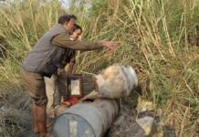 हिंडन खादर क्षेत्र में महुआ अवैध शराब के गोरखधंधे पर आबकारी विभाग तिरछी नजर