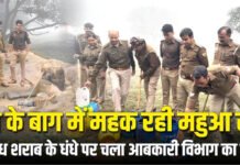 आम के बाग में महक रही महुआ रानी अवैध शराब के धंधे पर चला आबकारी विभाग का डंडा