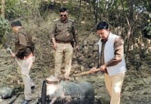 कच्ची शराब के काले धंधे को आबकारी विभाग की टीम ने किया नष्ट
