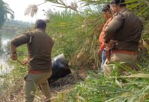रामपुर में शराब तस्करों का खेल बिगाड़ने के लिए आबकारी अधिकारी की नीति तस्करों का तोड़ रही दम