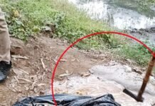 कच्ची शराब के नाम से बदनाम Rampur के दाग को धोने में जुटा आबकारी विभाग