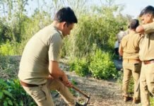 रामपुर की सुधर रही सेहत- अवैध शराब के कारोबार पर कसा शिकंजा, खजाने में हो रही बढ़ोत्तरी!