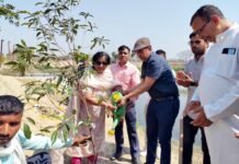 अंतर्राष्ट्रीय वन दिवस व विश्व जल दिवस पर गाजियाबाद नगर निगम ने किया पौधारोपण