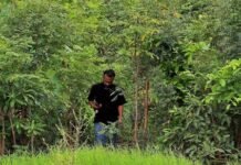 मियावाकी से चार स्थानों पर घने वन विकसित होंगे