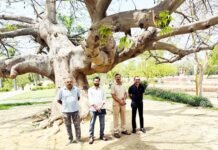 राम मनोहर लोहिया पार्क को 16 करोड़ रुपये से मिलेगा नया रूप