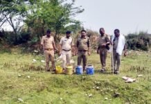 महुआ रानी फिर बनी जहर की रानी, देहात में फिर से पनपने लगा अवैध शराब का धंधा, आबकारी टीम ने मचाया कोहराम