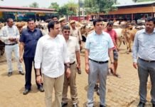 गर्मी में गोवंशों को राहत देने को नगर निगम सक्रिय, नगर आयुक्त ने गौशाला का किया निरीक्षण
