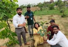 हरित उपवन को और अधिक हरा-भरा बनाने की पहल