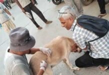नगर निगम ने वर्ल्ड रेबीज दिवस पर श्वानों का चलाया टीकाकरण अभियान