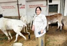 रोटरी गाजियाबाद स्मार्ट सिटी ने गौ माता सेवा प्रोजेक्ट के तहत किया भव्य सेवा कार्य