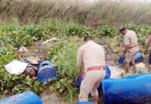 अवैध शराब के गढ़ हिंडन खादर में आबकारी टीम की रेड, हजारों लीटर लहन से भरे ड्रम को किया नष्ट