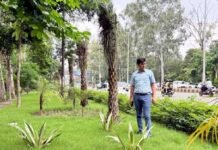 दीपावली से पहले गाजियाबाद में हरियाली और सौंदर्यकरण का विशाल अभियान