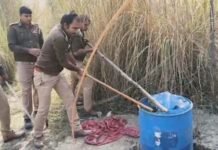 अवैध शराब माफिया के खिलाफ आबकारी विभाग की सघन कार्रवाई, अवैध शराब और कच्ची सामग्री नष्ट