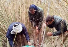 घाघरा की लहरों के बीच टूटा शराब माफियाओं का गढ़, जंगलों में खत्म हुआ अवैध धंधा