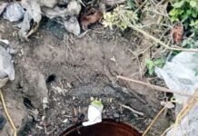 नववर्ष से पहले शराब माफियाओं के लिए अलर्ट: बलिया में आबकारी विभाग ने बढ़ाई निगरानी